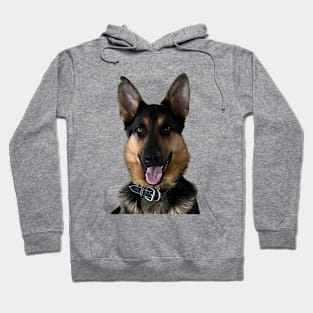 Gorgeous German Shepherd Hoodie